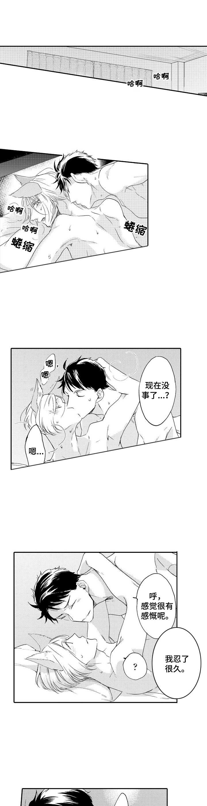 狼的回报小说漫画,第17章：心意2图