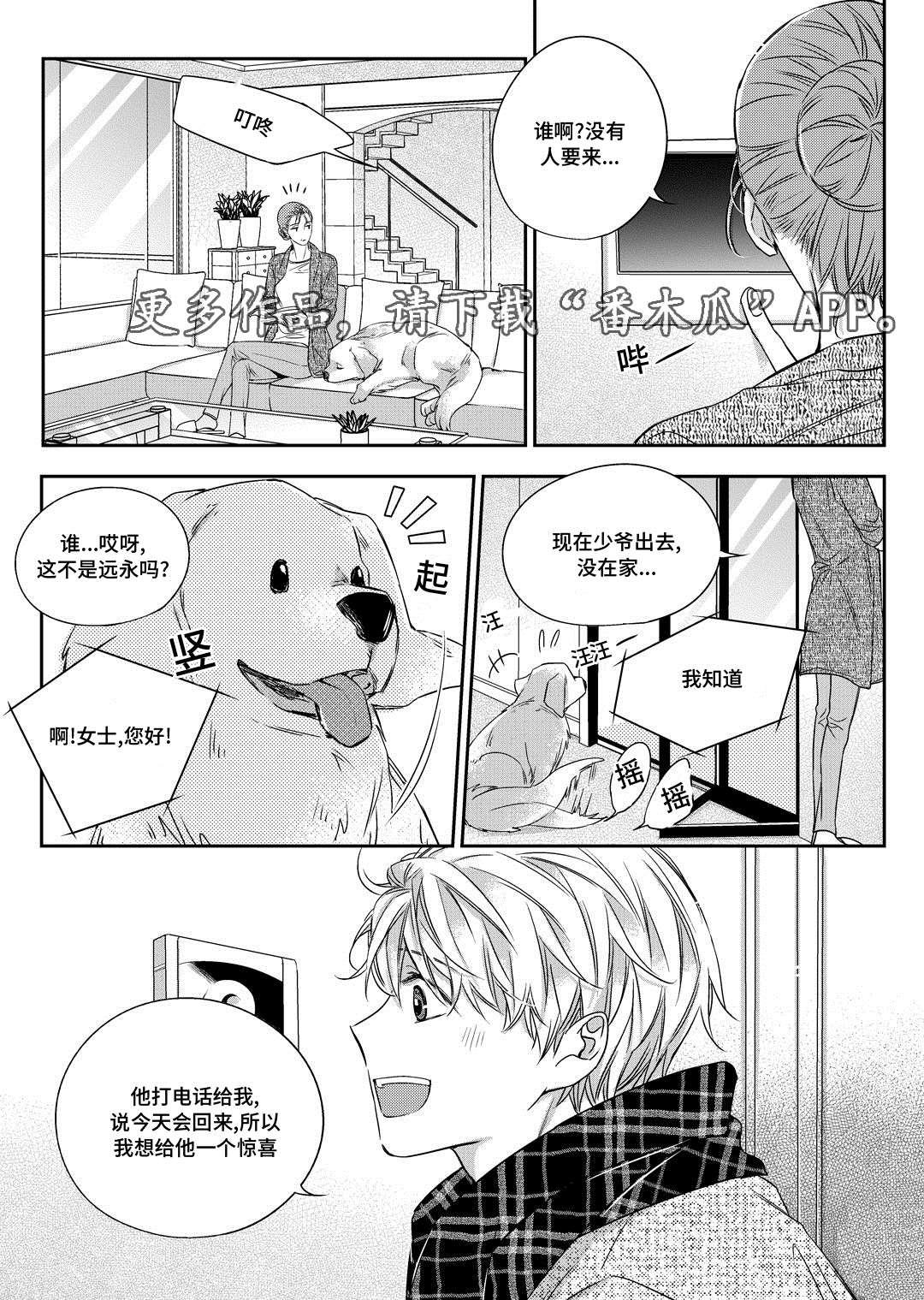 销声匿迹图案漫画,第25章：争执1图