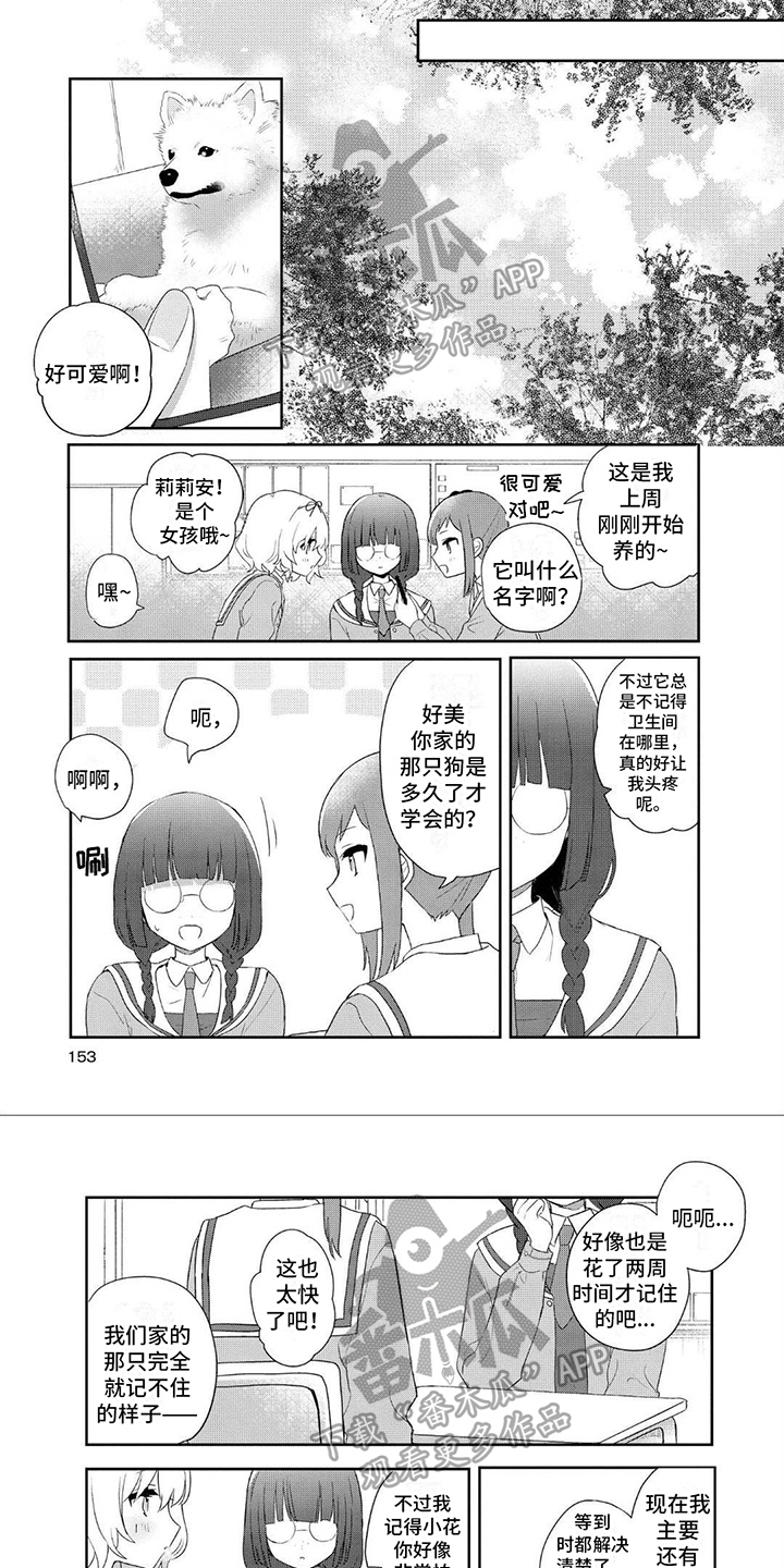 爱与花果漫画,第19章：目击者1图