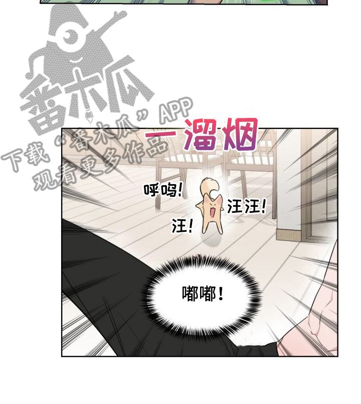梅之恋图片漫画,第4章：解释2图