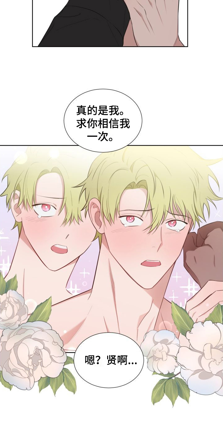 梅之恋图片漫画,第4章：解释1图