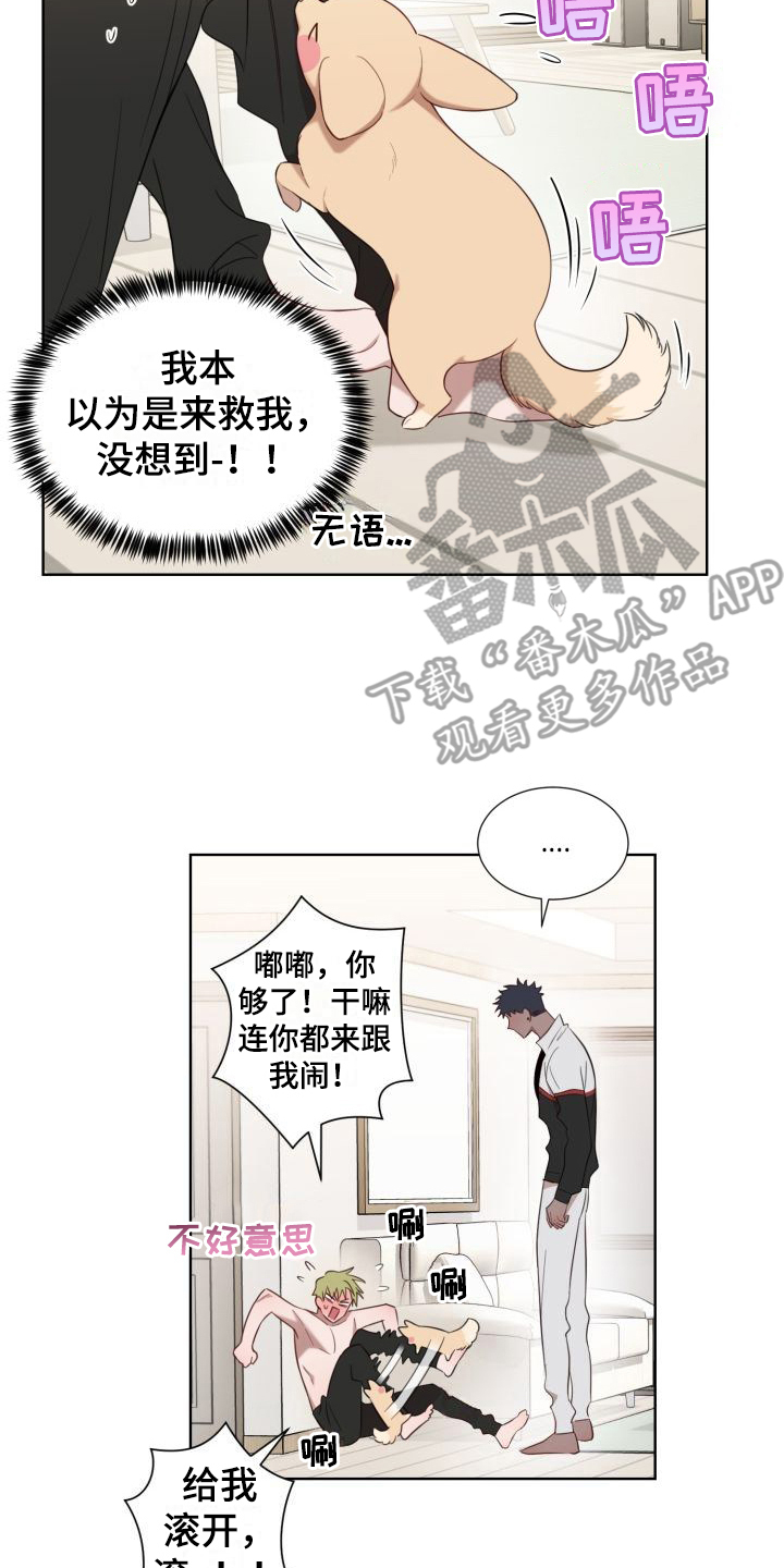 美职联直播免费直播在线看漫画,第5章：怂恿2图