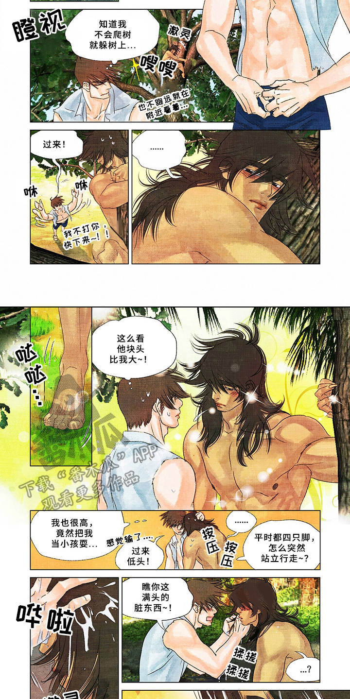 荒岛余生电影完整版漫画,第16章：取名2图