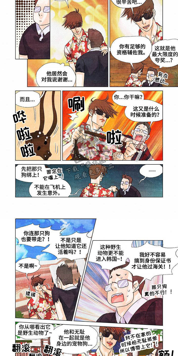 荒岛求生德爷漫画,第23章：回首尔2图