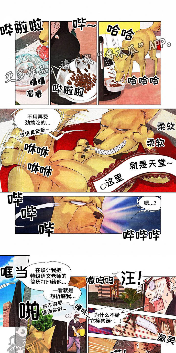 荒岛漂流者漫画,第29章：言行不一1图