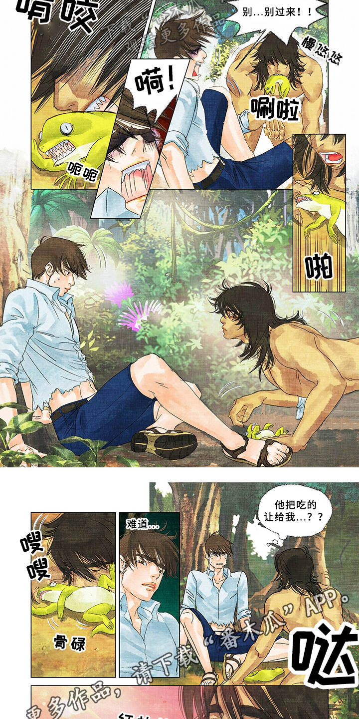 荒岛漂流记小强田菲儿漫画,第4章：开始救援2图