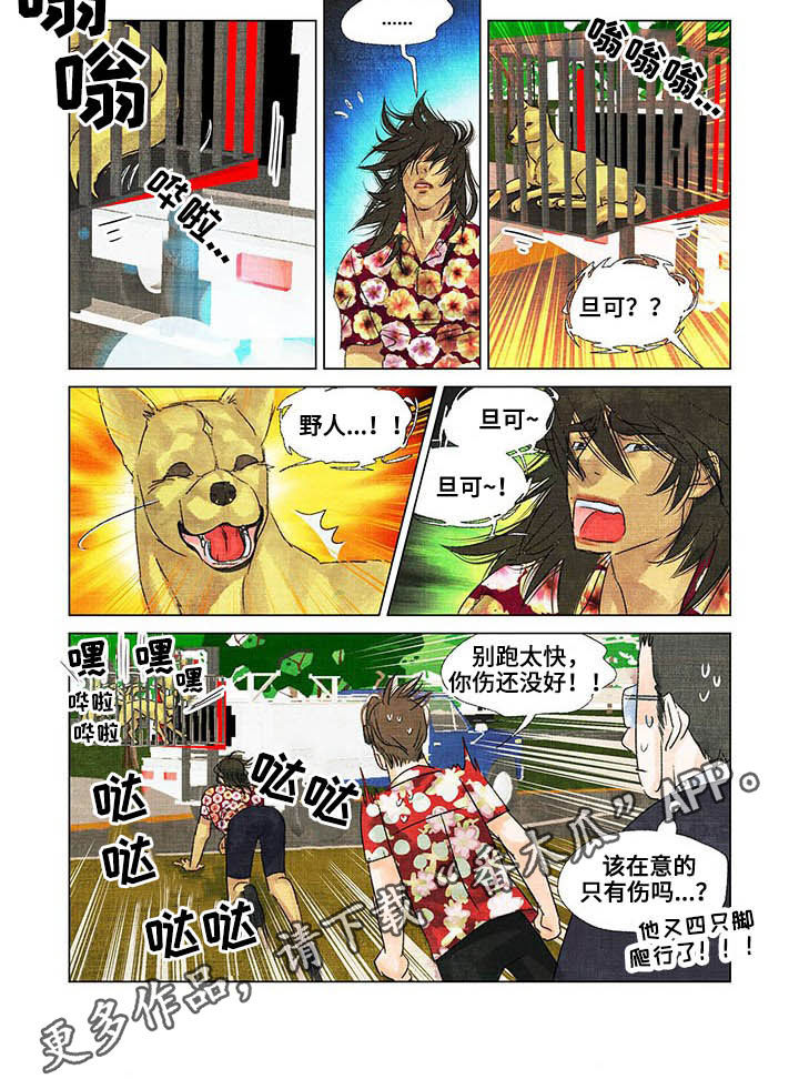 荒岛余生漫画,第22章：出院1图