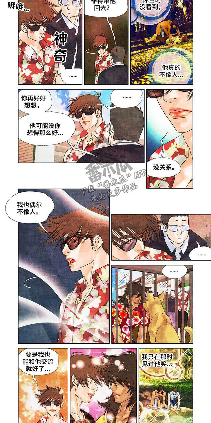 荒岛漂流者漫画,第23章：回首尔2图