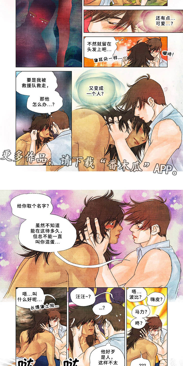 荒岛余生纪录片漫画,第16章：取名2图