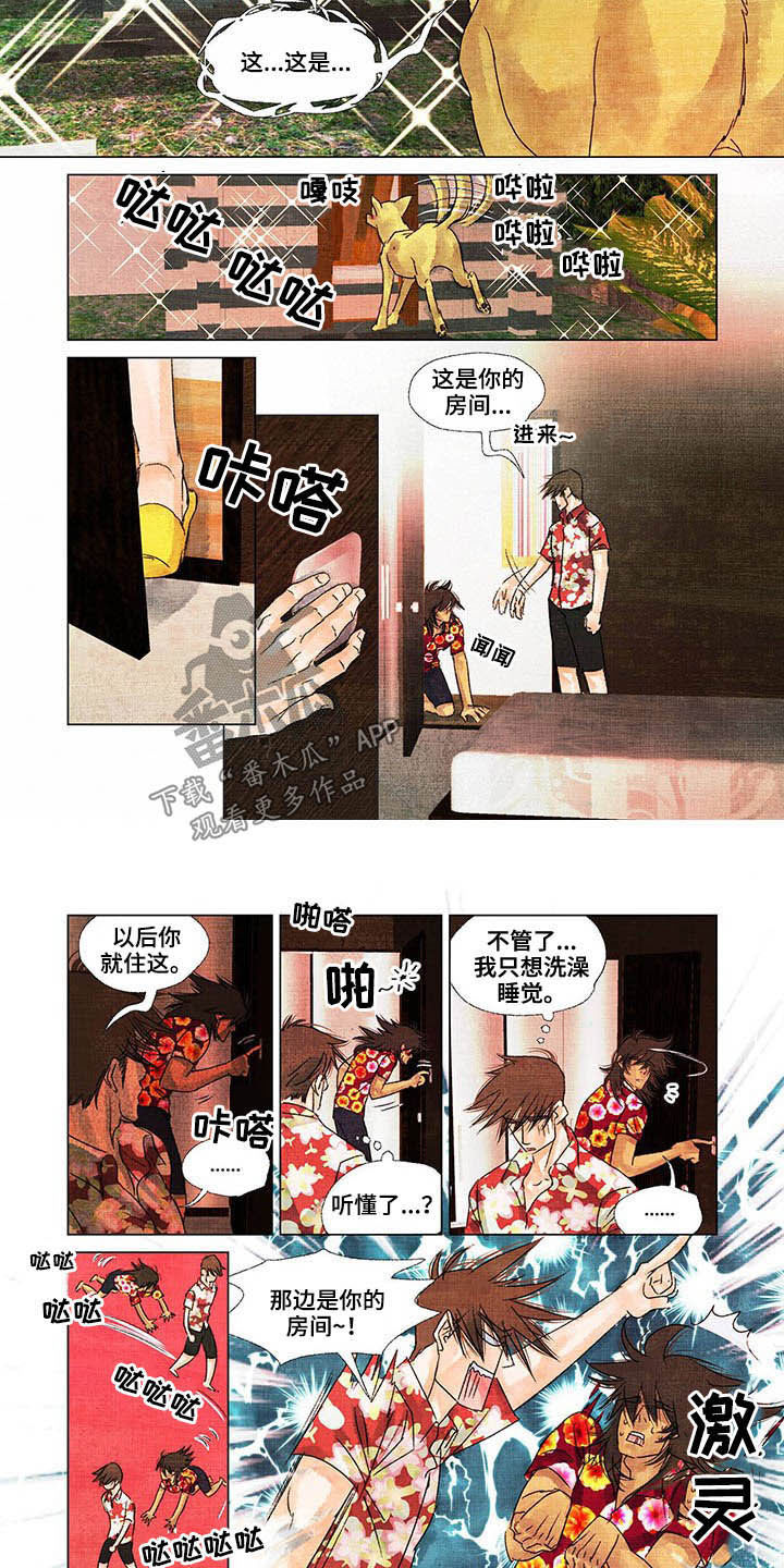 荒岛生存小视频漫画,第24章：教导1图