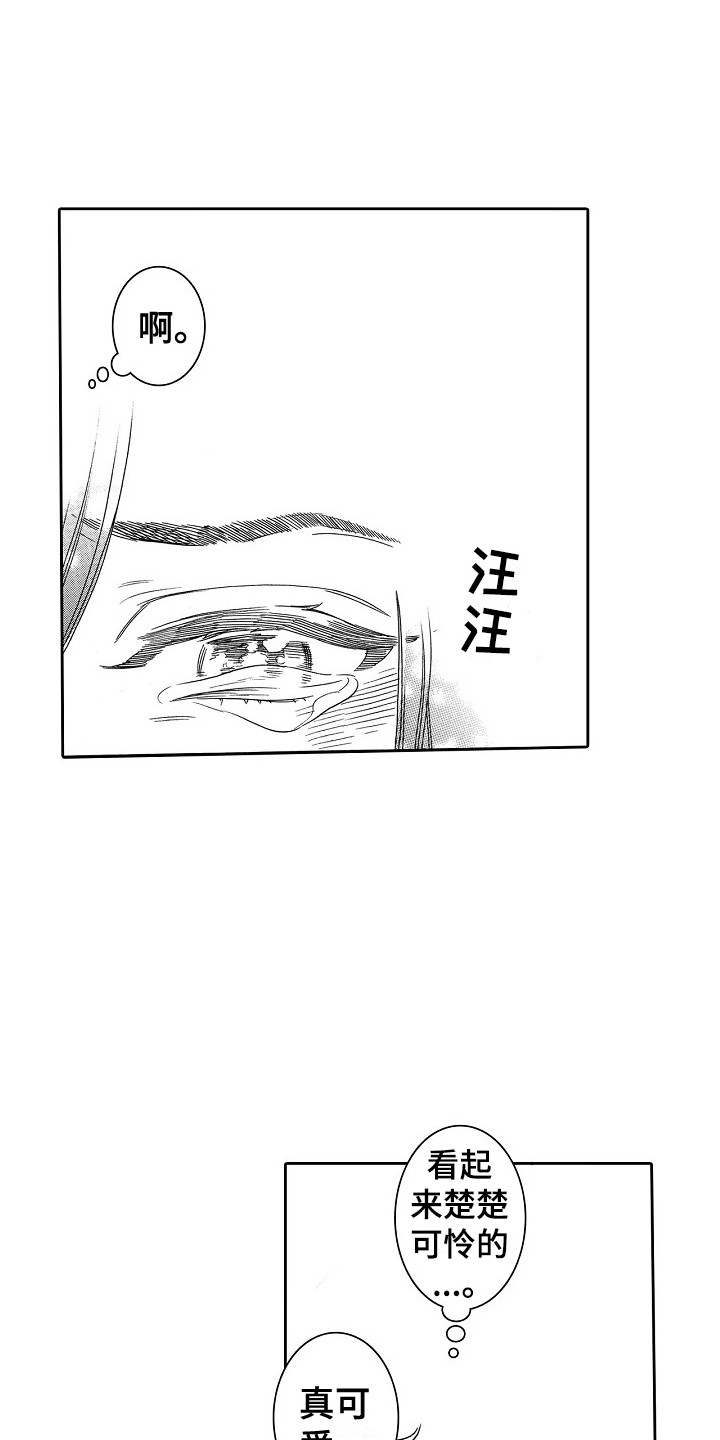特别之人漫画,第31章：猫咪 1图