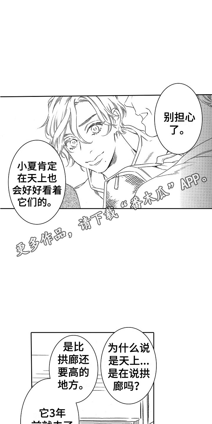 特别之人漫画,第32章：字面意思（完结） 1图