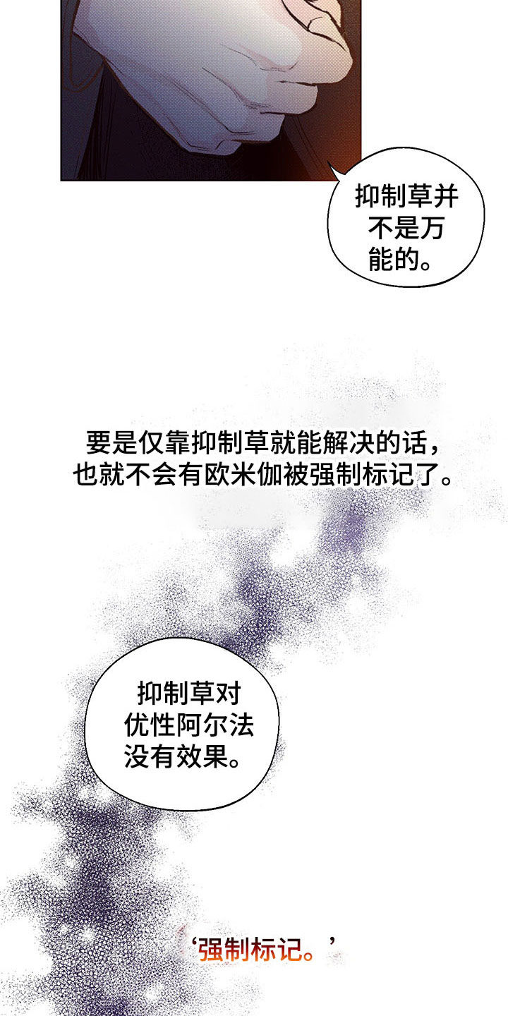 凛冬部落漫画,第3章：难寻的运气1图