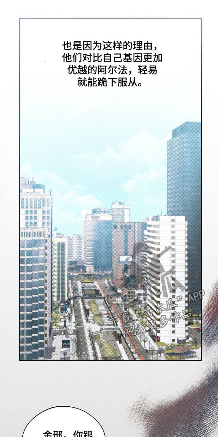 凛冬部落官网漫画,第19章：三六九等1图