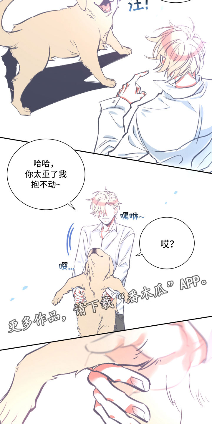 与你永相随原唱漫画,第26章：体检2图