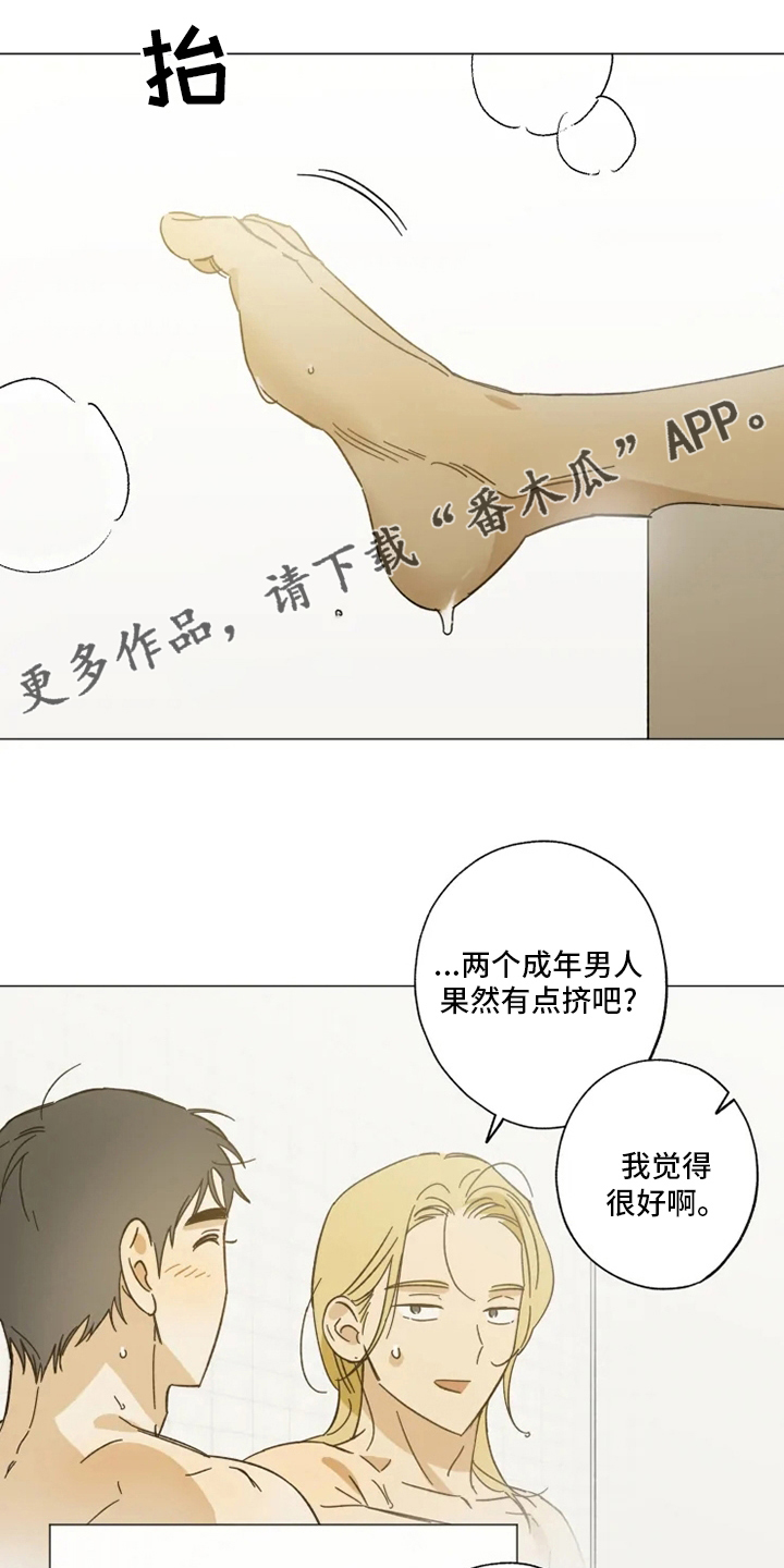 焦点视线漫画,第104章：以后也请多多关照1图