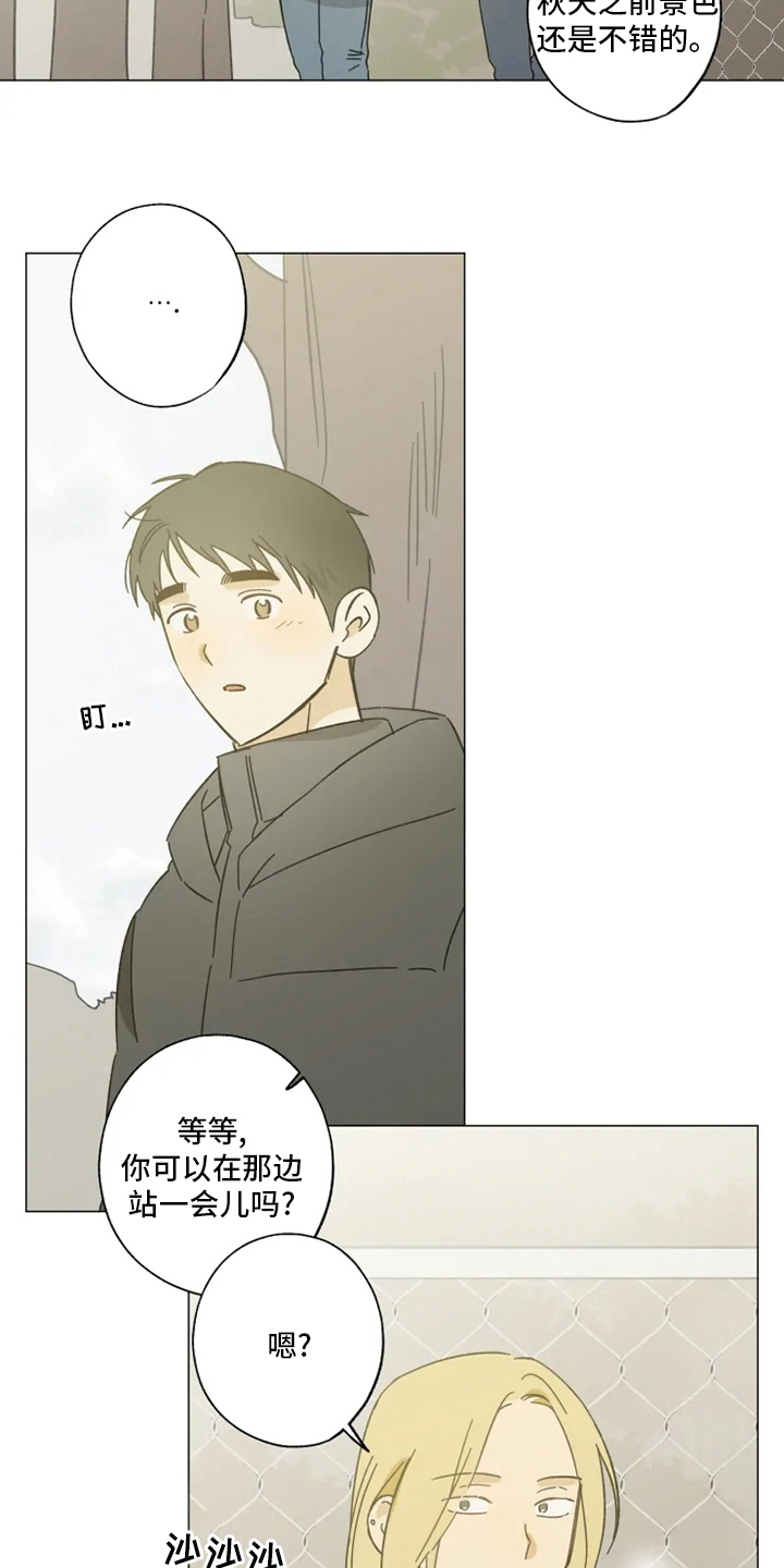 焦点视线漫画,第103章：情侣戒2图