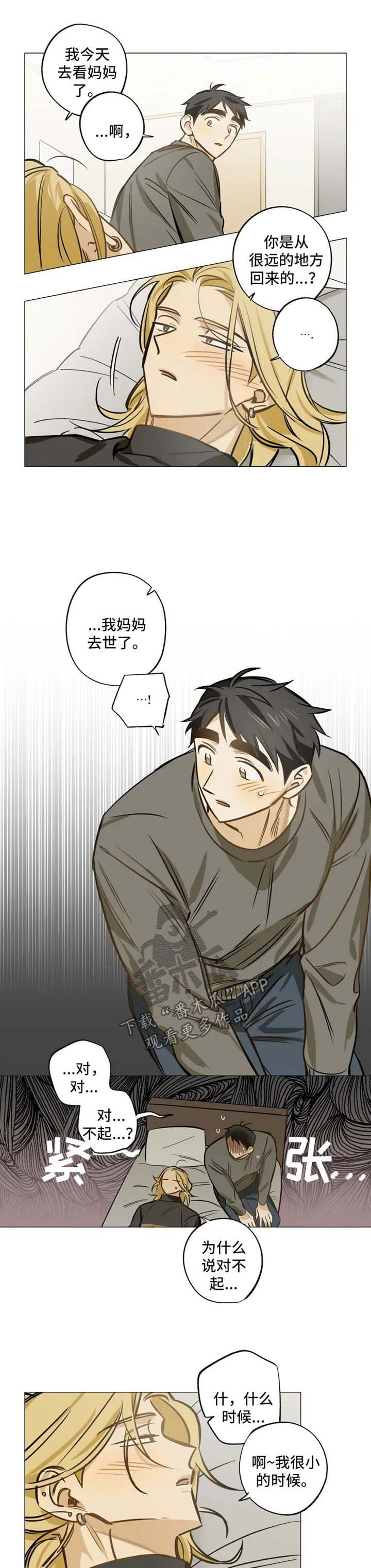 焦点科技股票漫画,第34章：为什么喜欢我2图