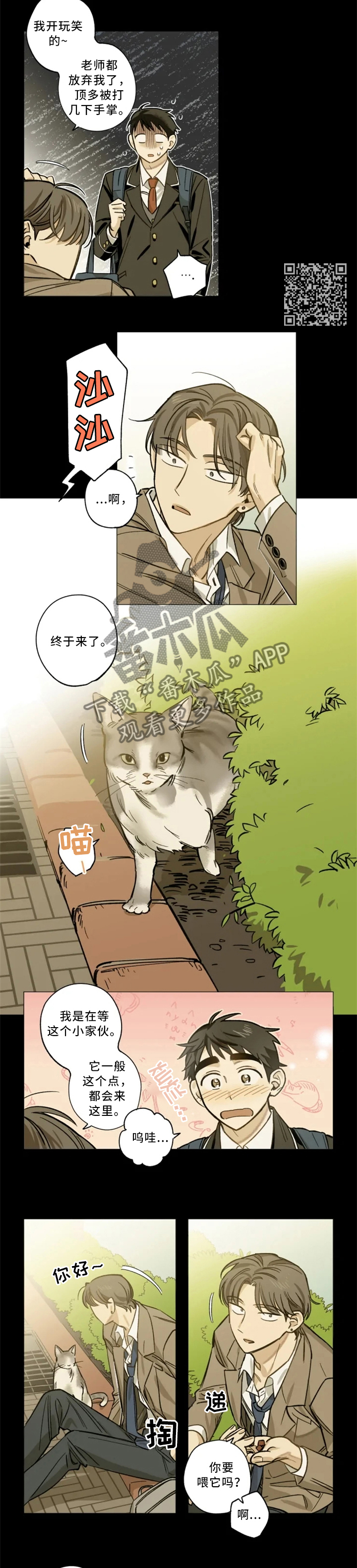 焦点视频漫画,第20章：手机1图