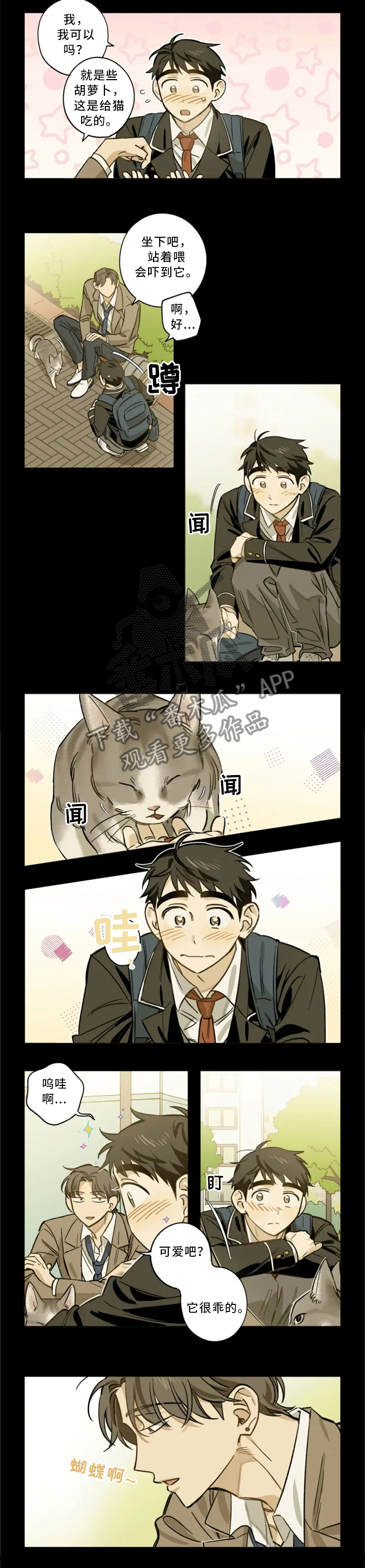 焦点视频漫画,第20章：手机2图