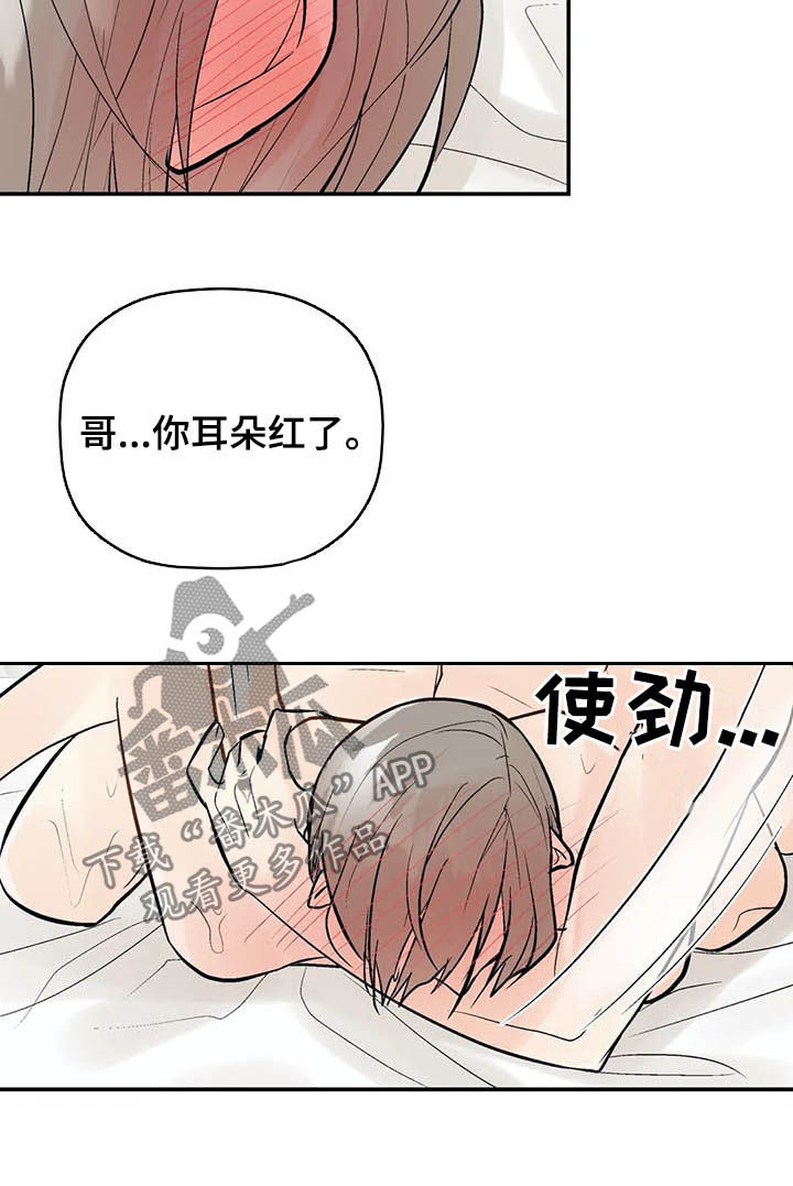 劣质的他漫画免费阅读番木瓜漫画,第91章：伴侣2图