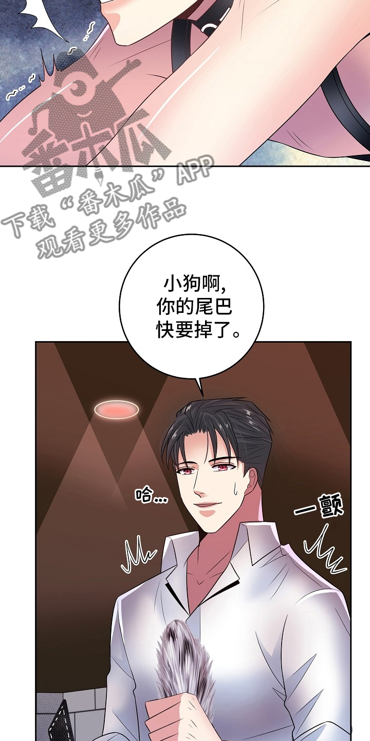 被恶魔一见钟情的种种下场御书宅漫画,第73章：撒娇1图