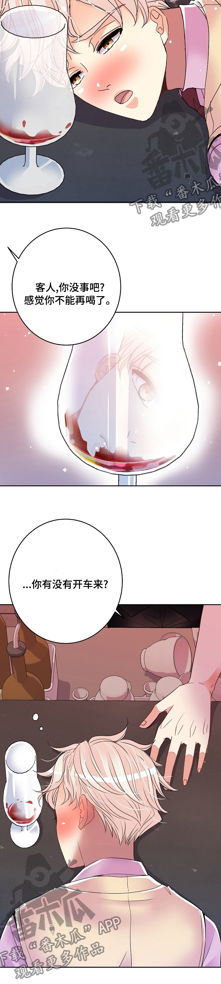 被恶魔一见钟情的种种下场全文漫画,第62章：车混蛋2图