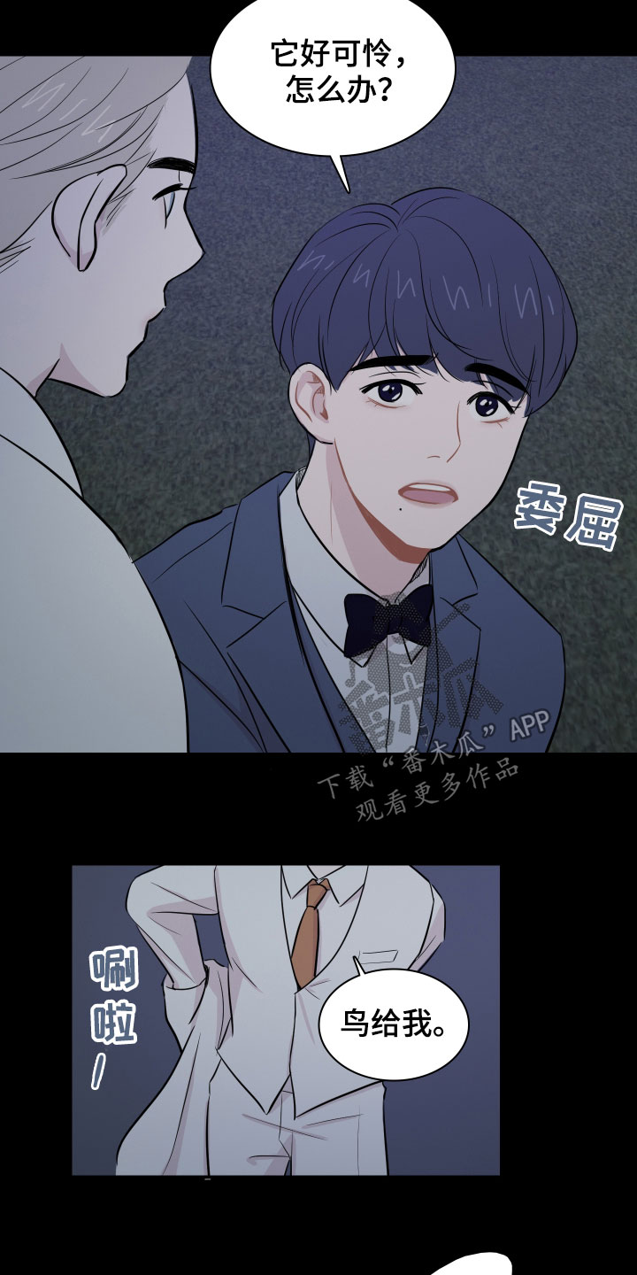 笼中鸟漫画,第12章：少爷1图