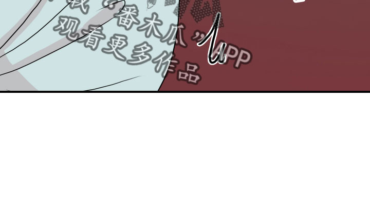 笼中鸟是什么意思漫画,第28章：消失了2图