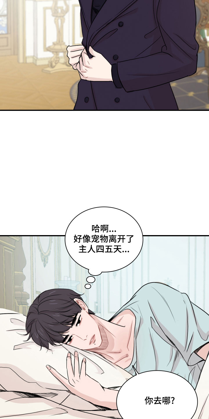 笼中鸟是什么意思漫画,第28章：消失了2图