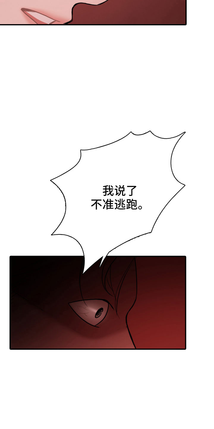 笼中鸟是什么意思漫画,第31章：谁干的2图