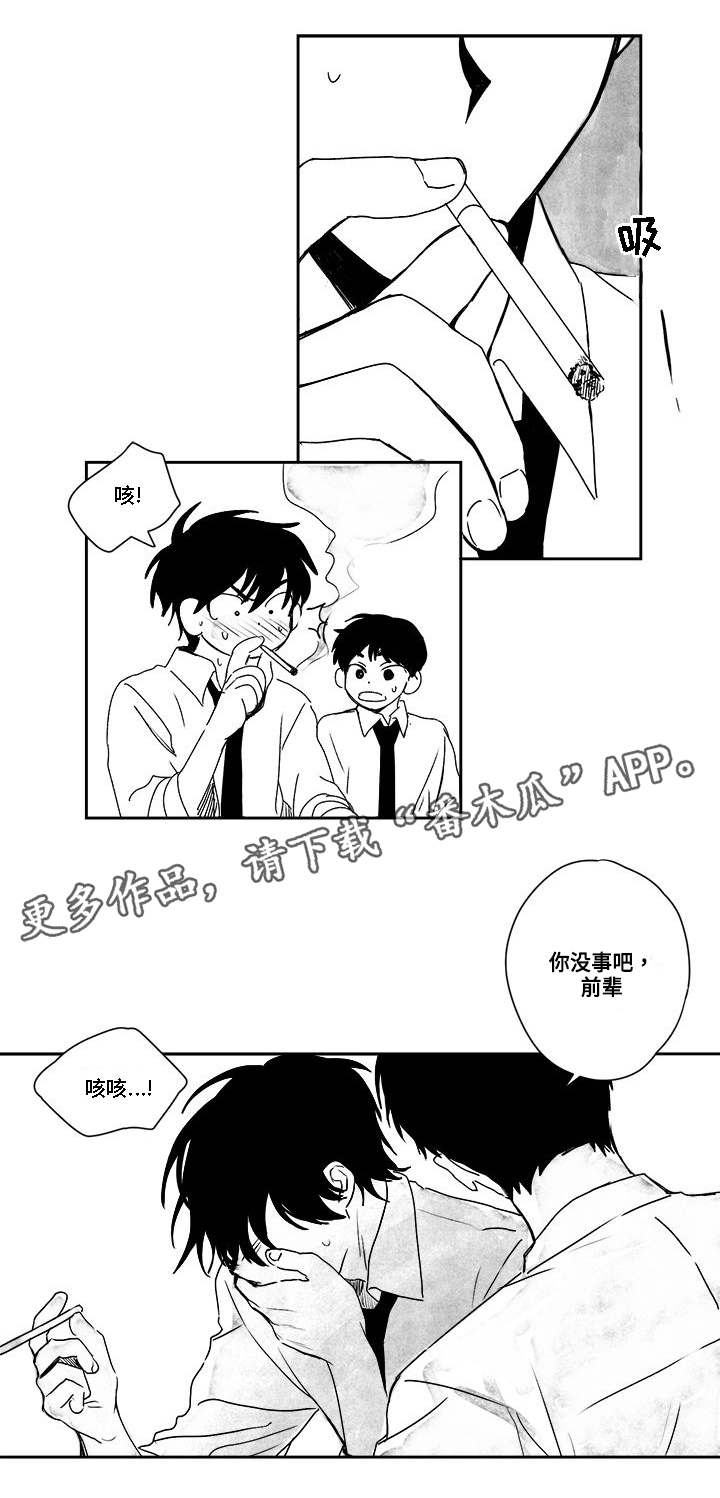 花戏漫画,第33章：没事的1图