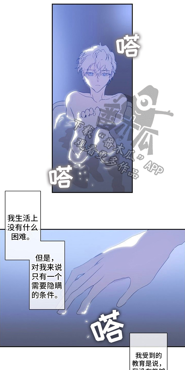 新婚之旅电影完整版漫画,第10章：小愿望1图