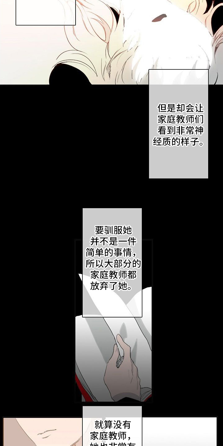 新婚夫妻肉麻的话漫画,第1章：大小姐2图