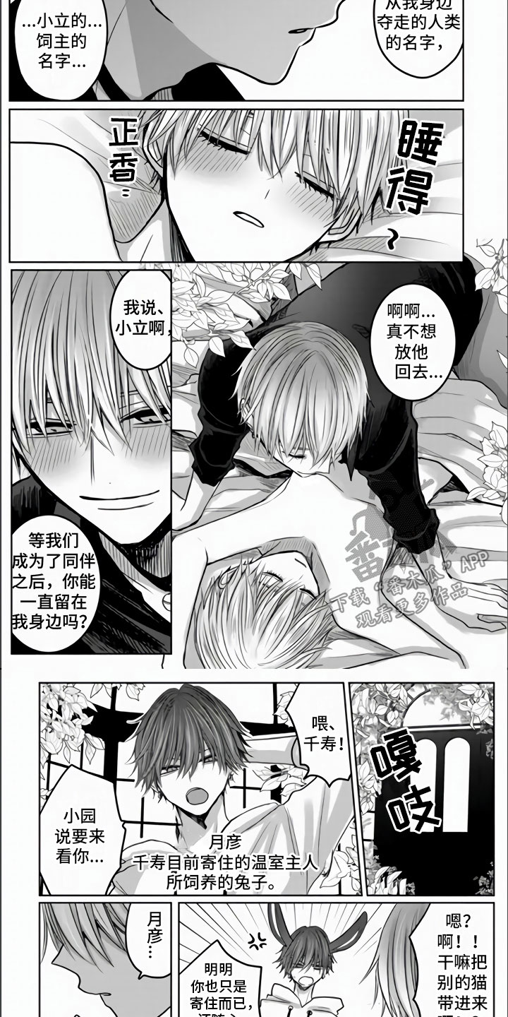 不眠之夜漫画,第5章：全世界最喜欢1图
