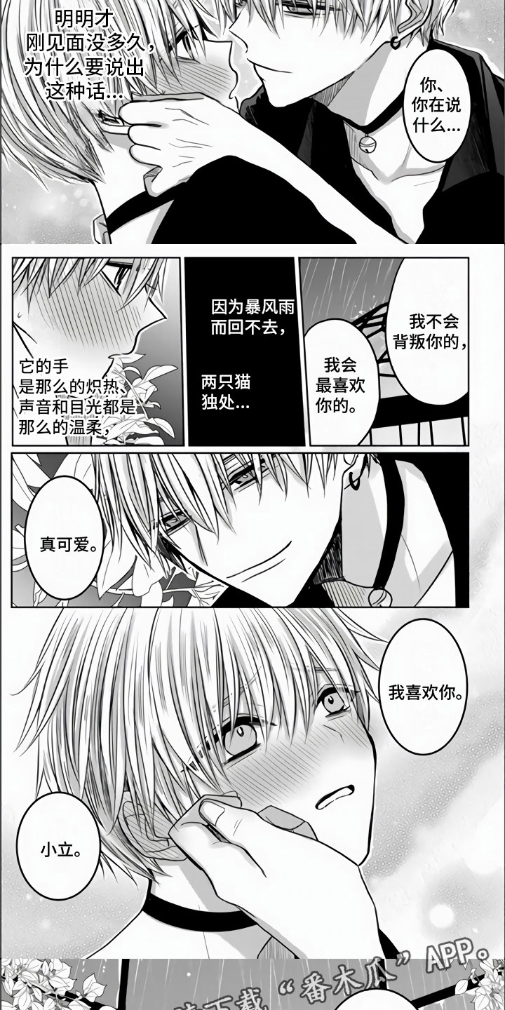 不眠之夜漫画,第4章：我喜欢你1图