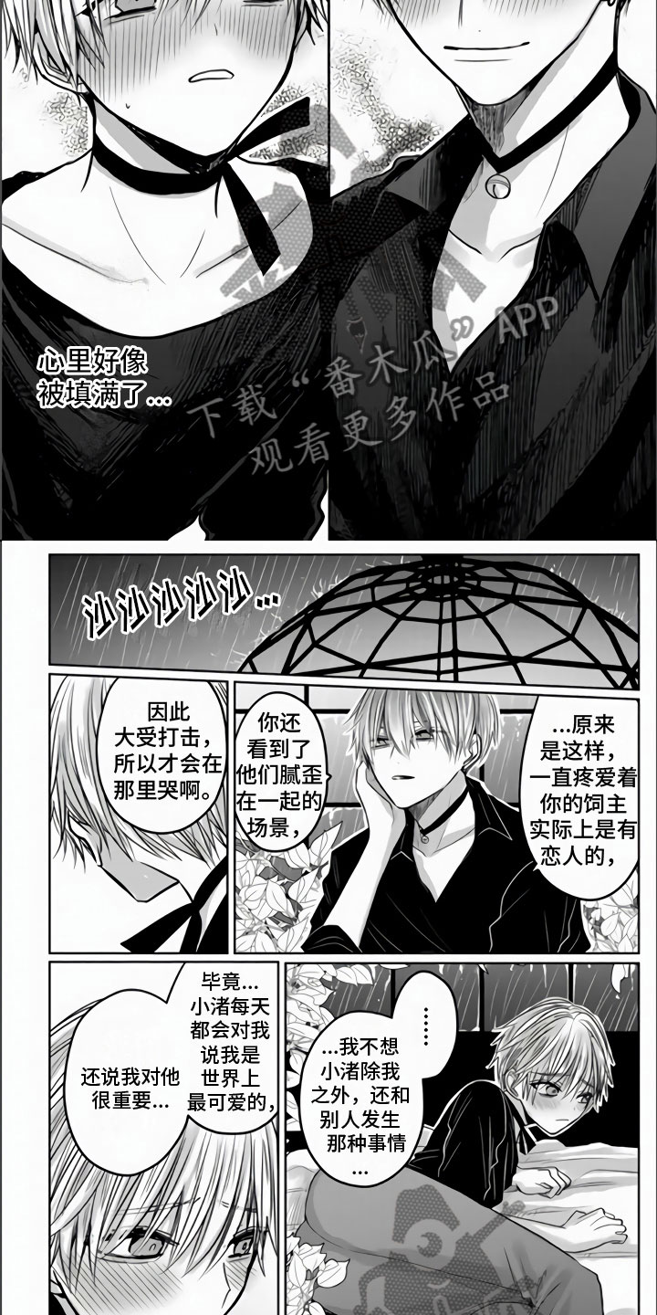 不眠之夜漫画,第4章：我喜欢你2图
