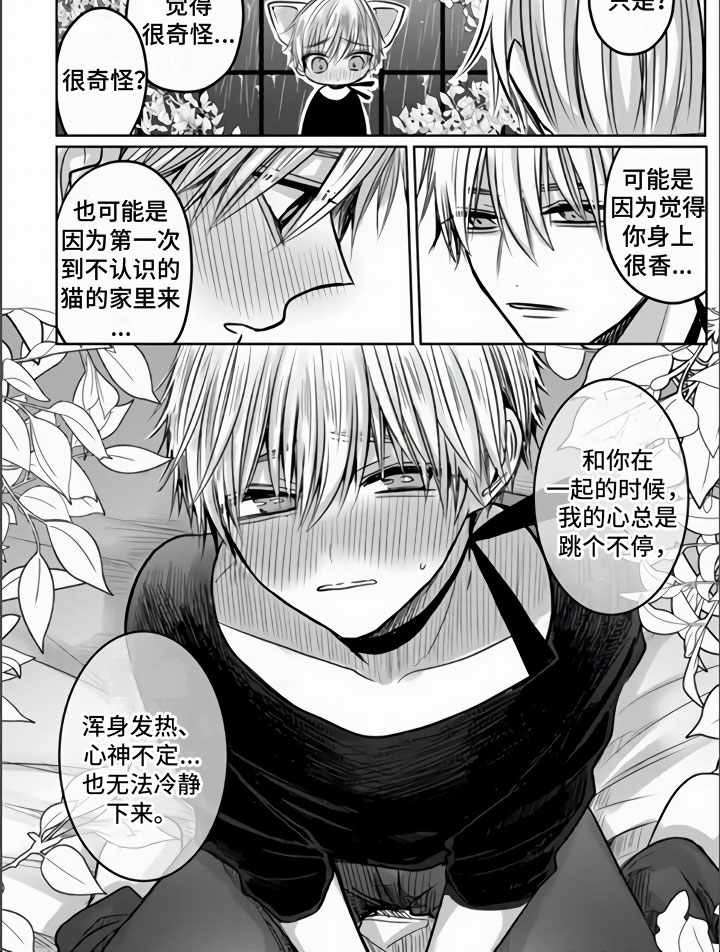 不眠之夜漫画,第3章：被拐走了2图