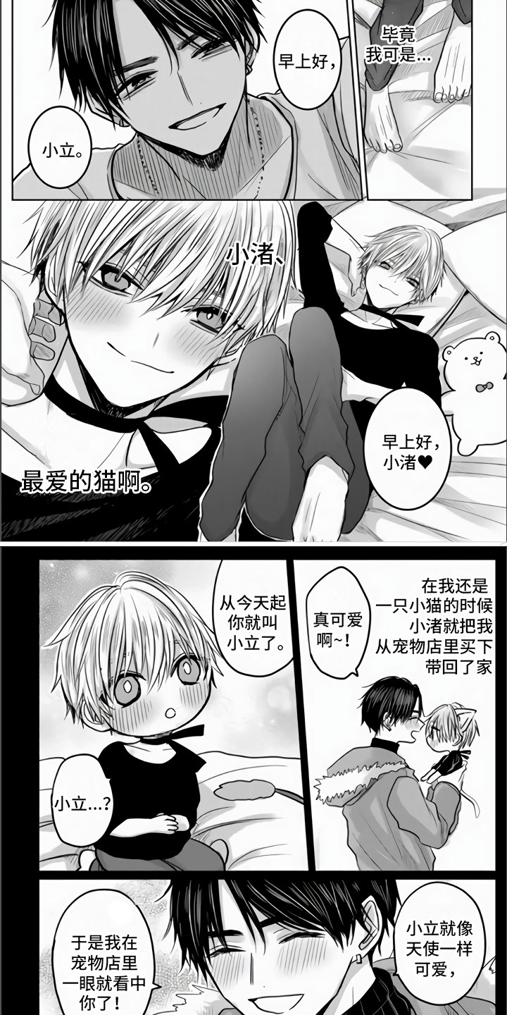 不眠之夜漫画,第1章：狂风暴雨的开始2图