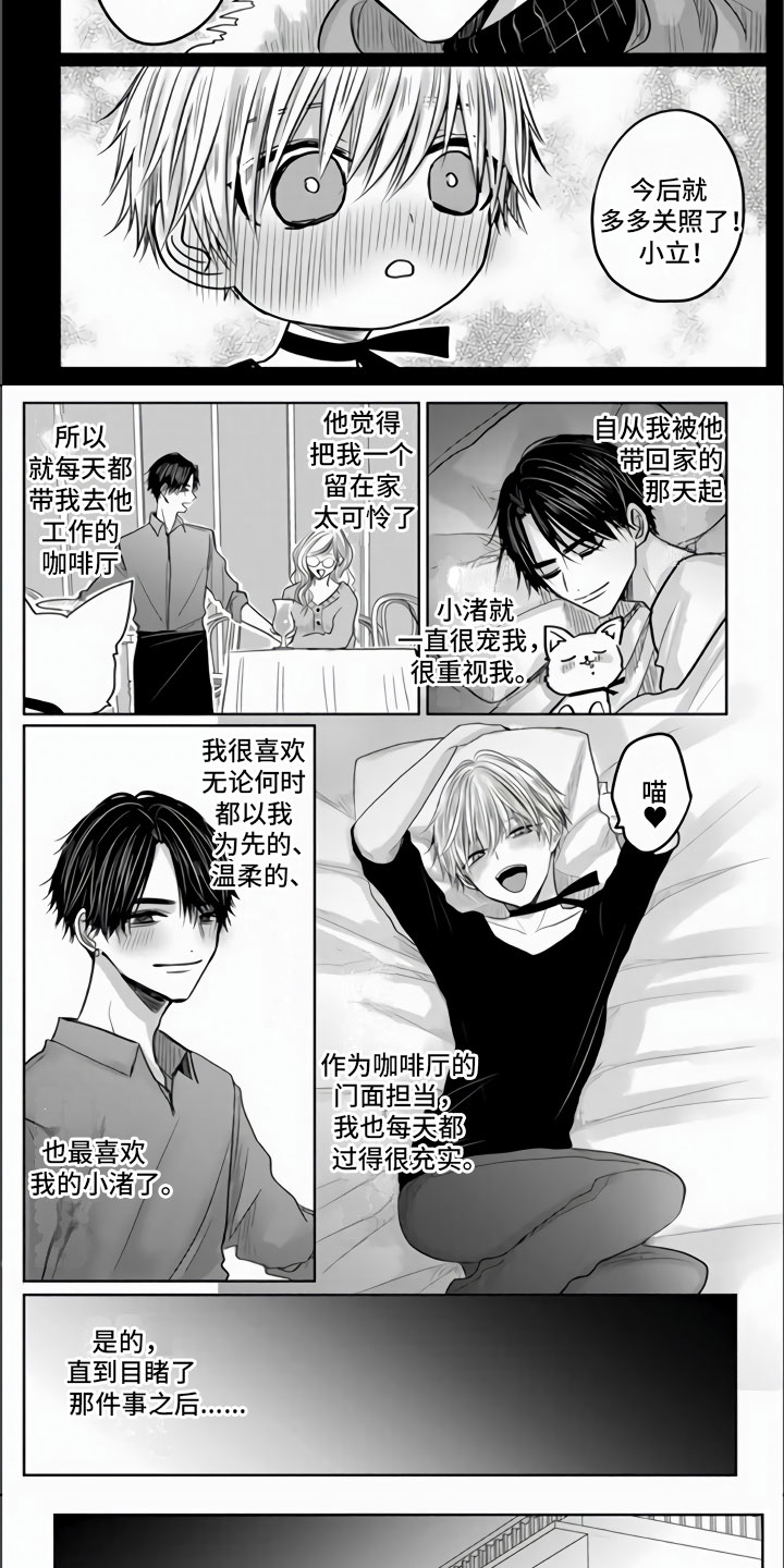 不眠之夜漫画,第1章：狂风暴雨的开始1图