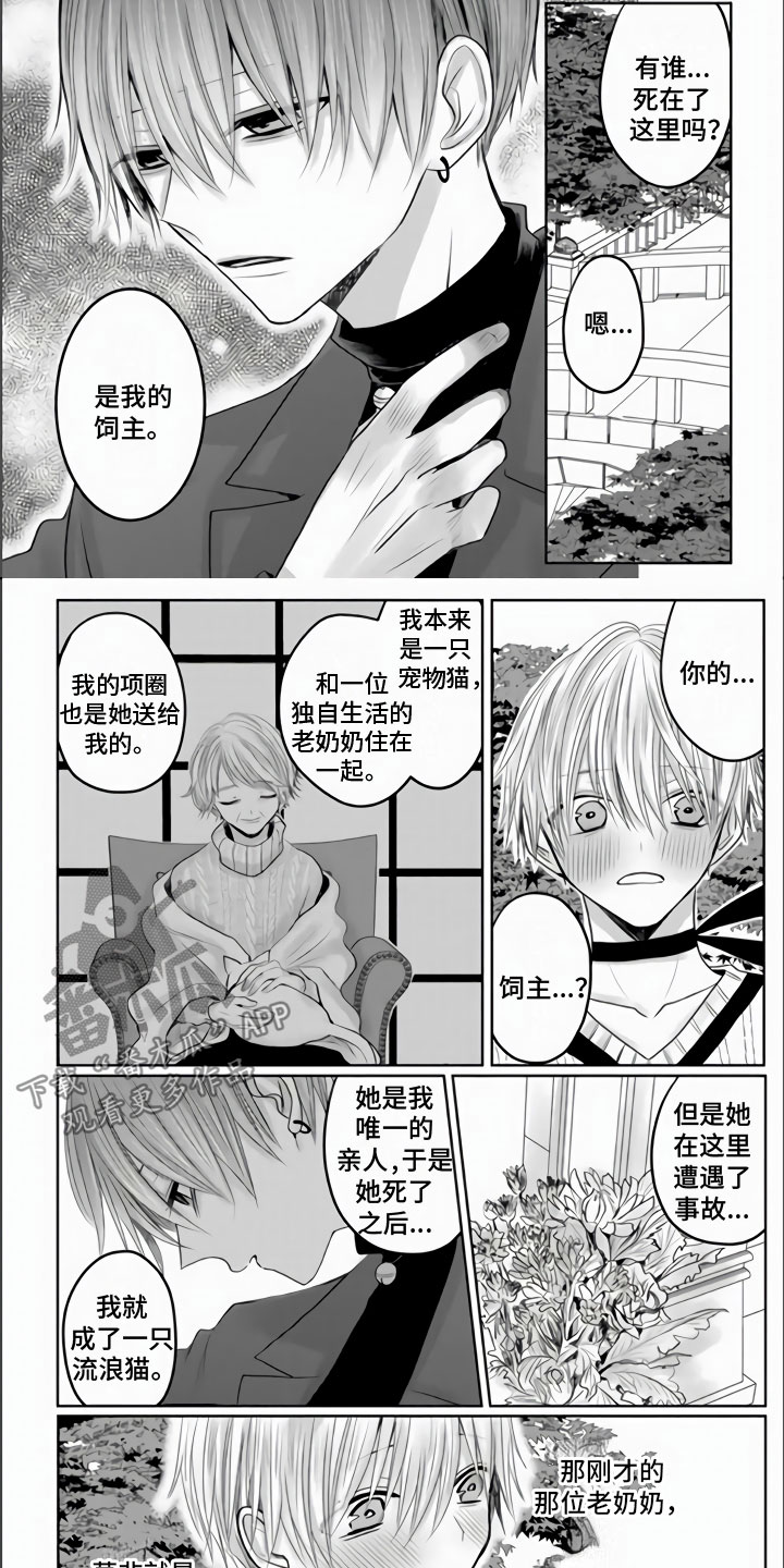 不眠之夜漫画,第21章：他哭泣的脸1图