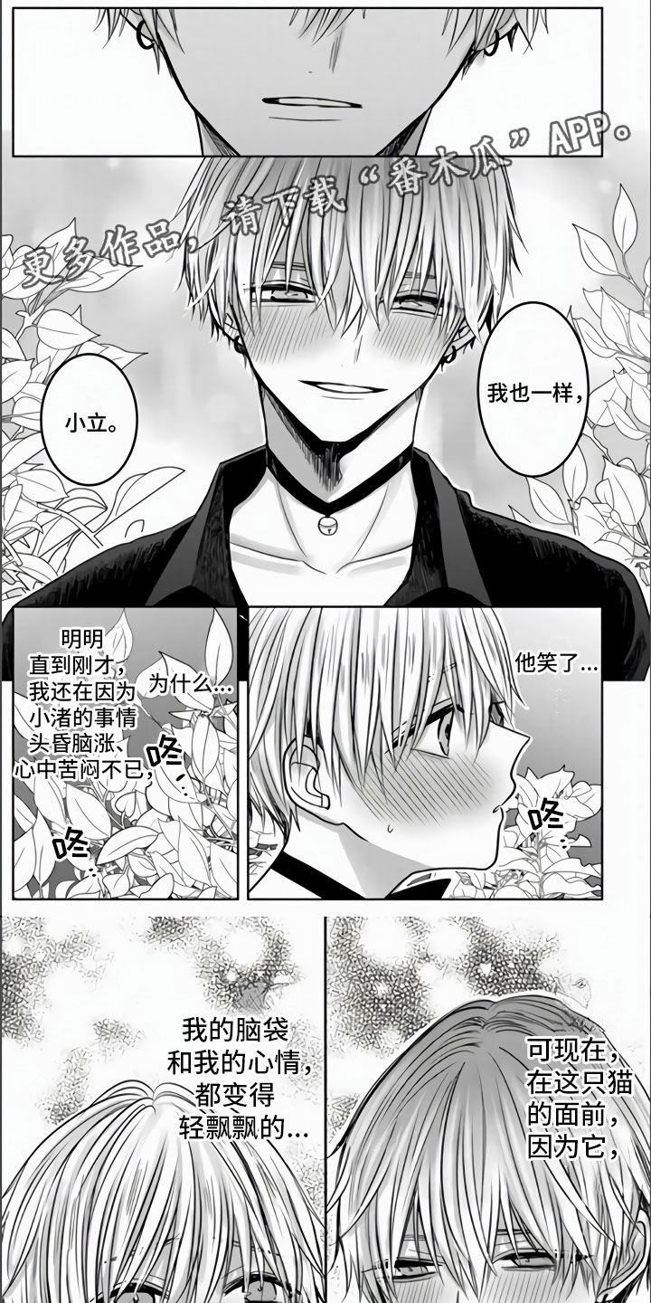 不眠之夜漫画,第4章：我喜欢你1图