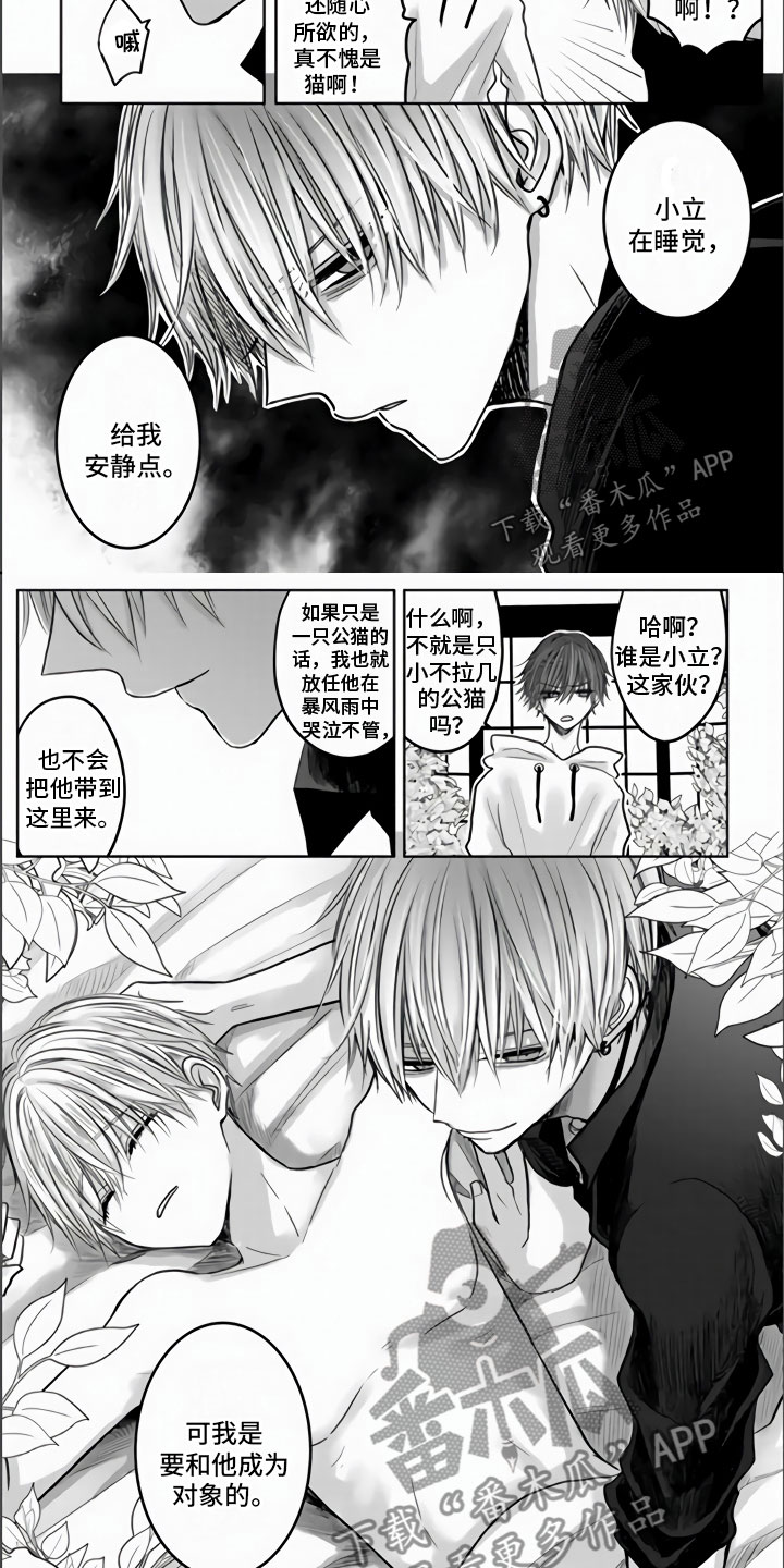 不眠之夜漫画,第5章：全世界最喜欢2图