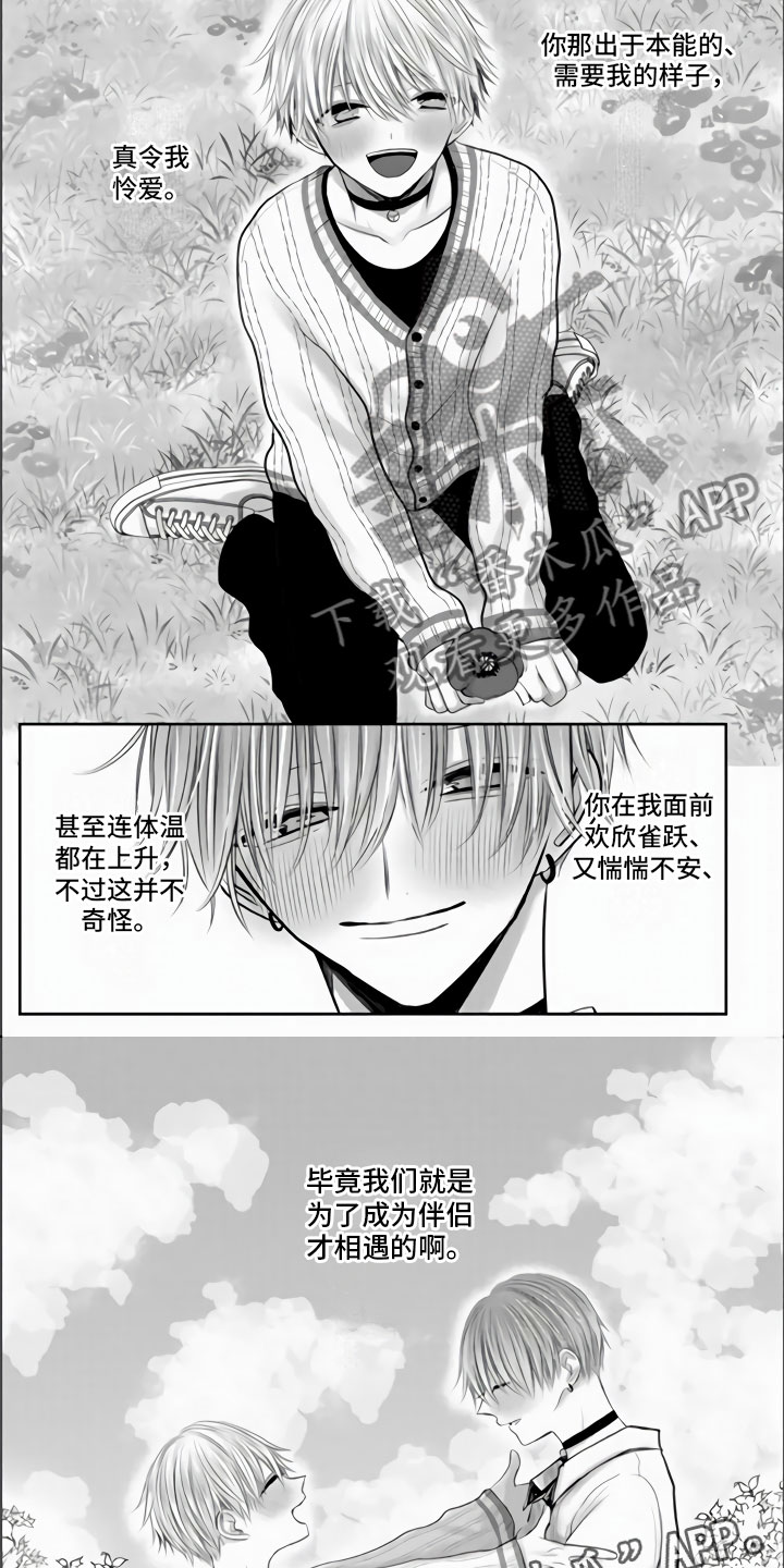 不眠之夜漫画,第36章：我们的相遇（完结）2图