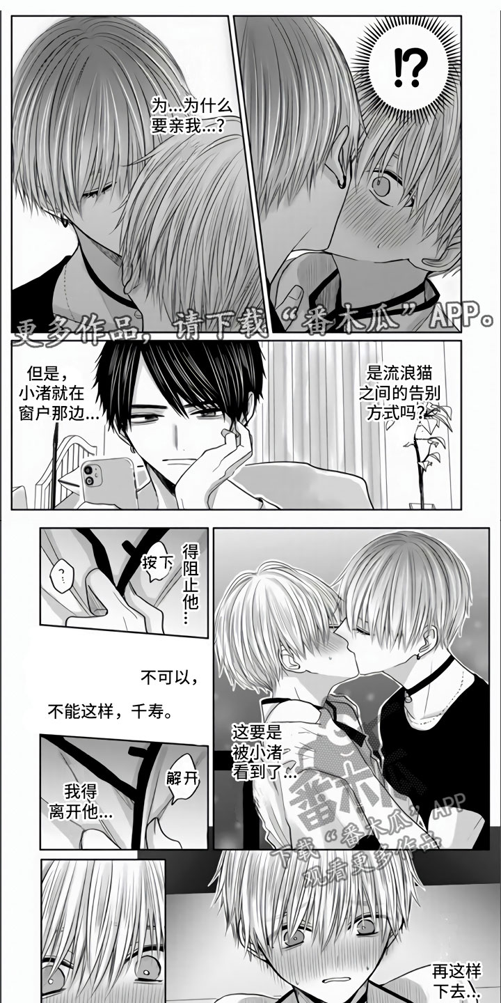 不眠之夜漫画,第9章：把你夺走了1图