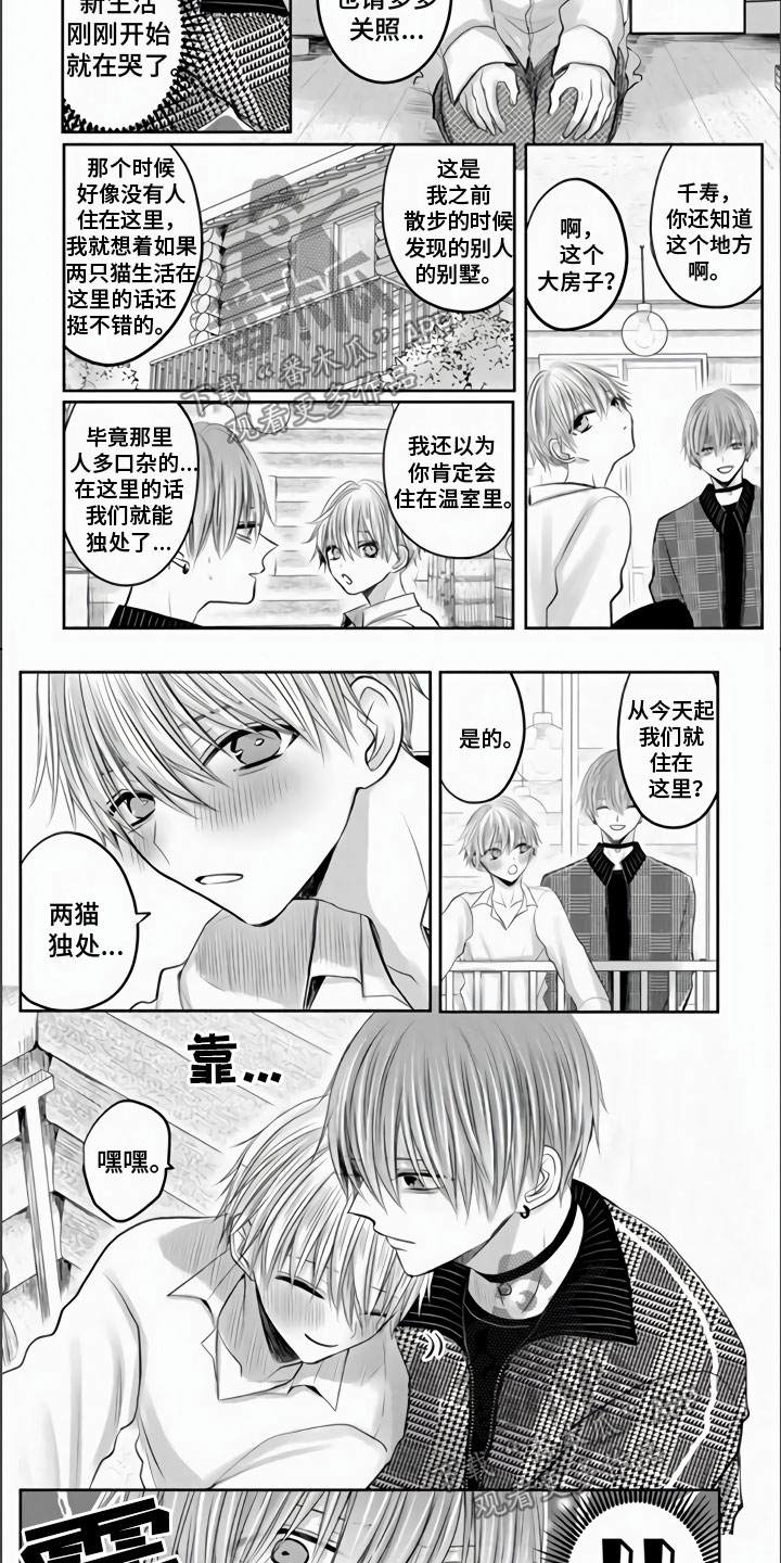不眠之夜漫画,第28章：永远属于你2图