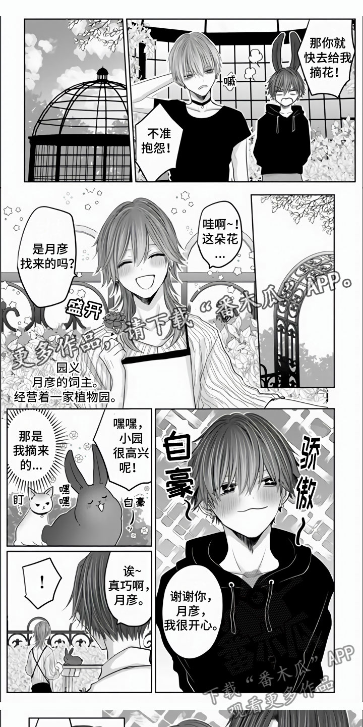 不眠之夜漫画,第11章：突如其来1图