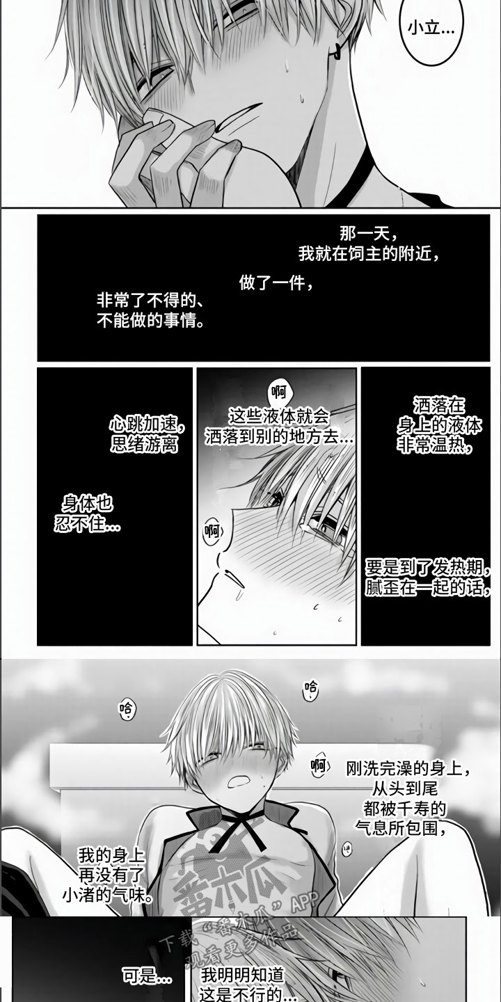 不眠之夜漫画,第9章：把你夺走了1图