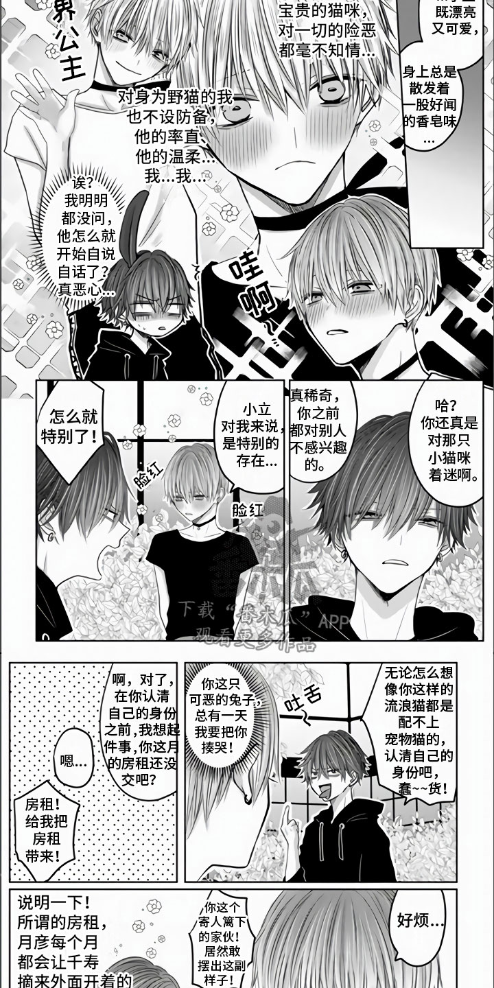 不眠之夜漫画,第10章：唯一的遗物2图