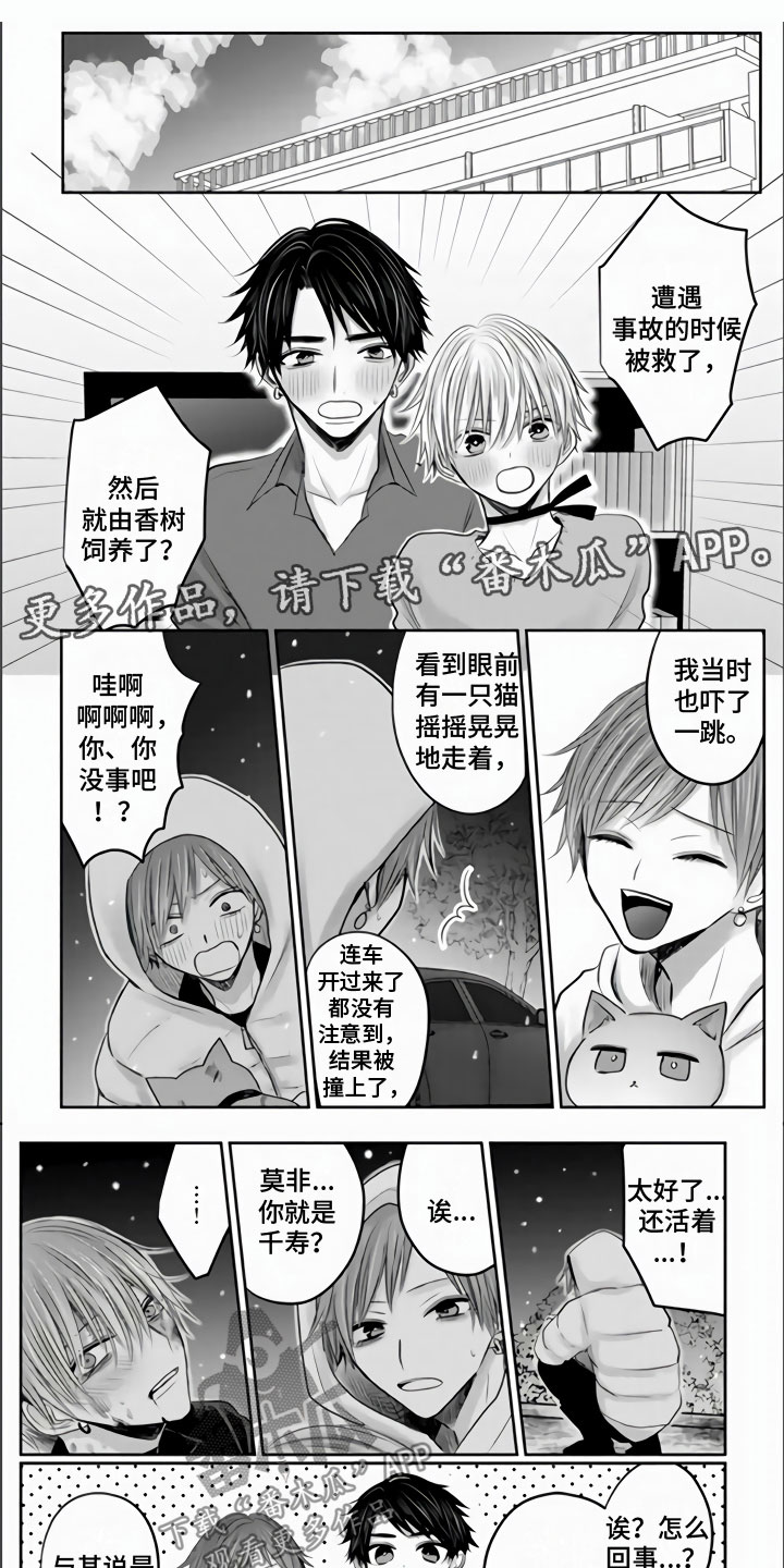 不眠之夜漫画,第35章：四个在一起1图